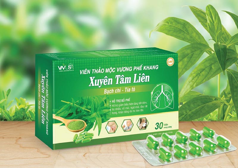 Hộp dược - Ảnh 32