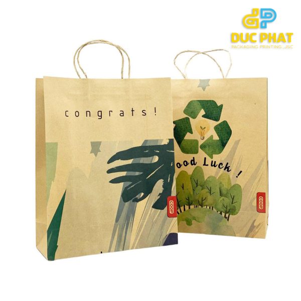 Túi giấy tiện dụng