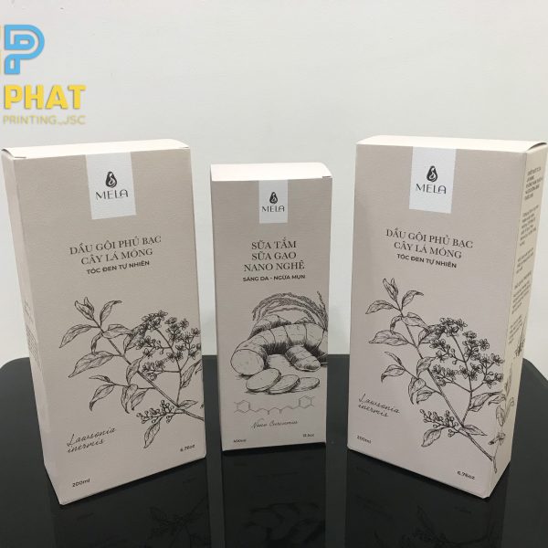 Hộp giấy mỹ thuật cho sản phẩm cao cấp