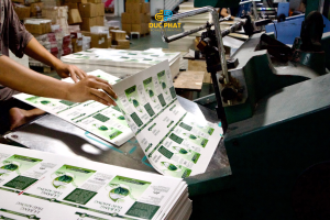 hộp thuốc giấy