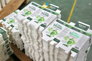 in bao bì in vỏ hộp bao bì dược phẩm