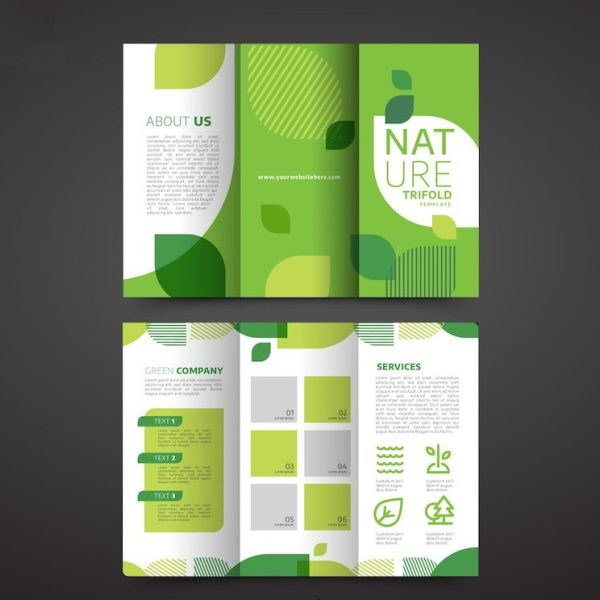 Mẫu in brochure gấp 3